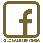 ดูอัฟเดตผลงานใหม่ๆ ได้ที่ facebook-globalberrygem